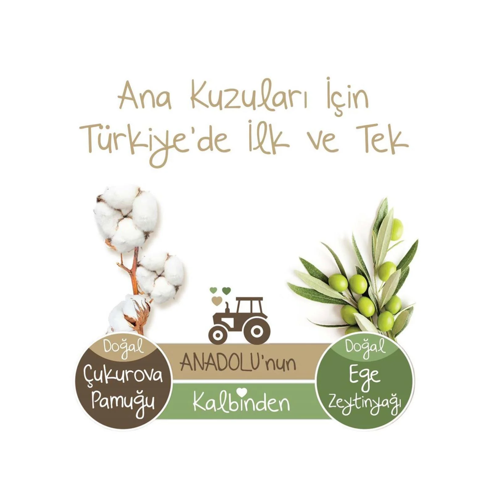 Baby Turco Doğadan Fırsat Paketi Külot Bez 6 Xlarge Numara 46 Adet - Image 9
