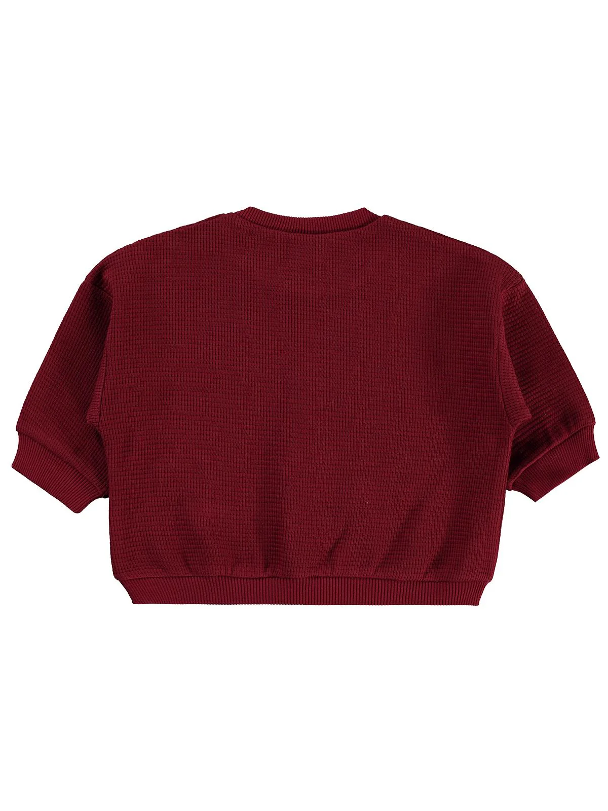 Civil Baby Athletic Baskılı Nakışlı 6-18 Ay Sweatshirt - Bordo - Image 2