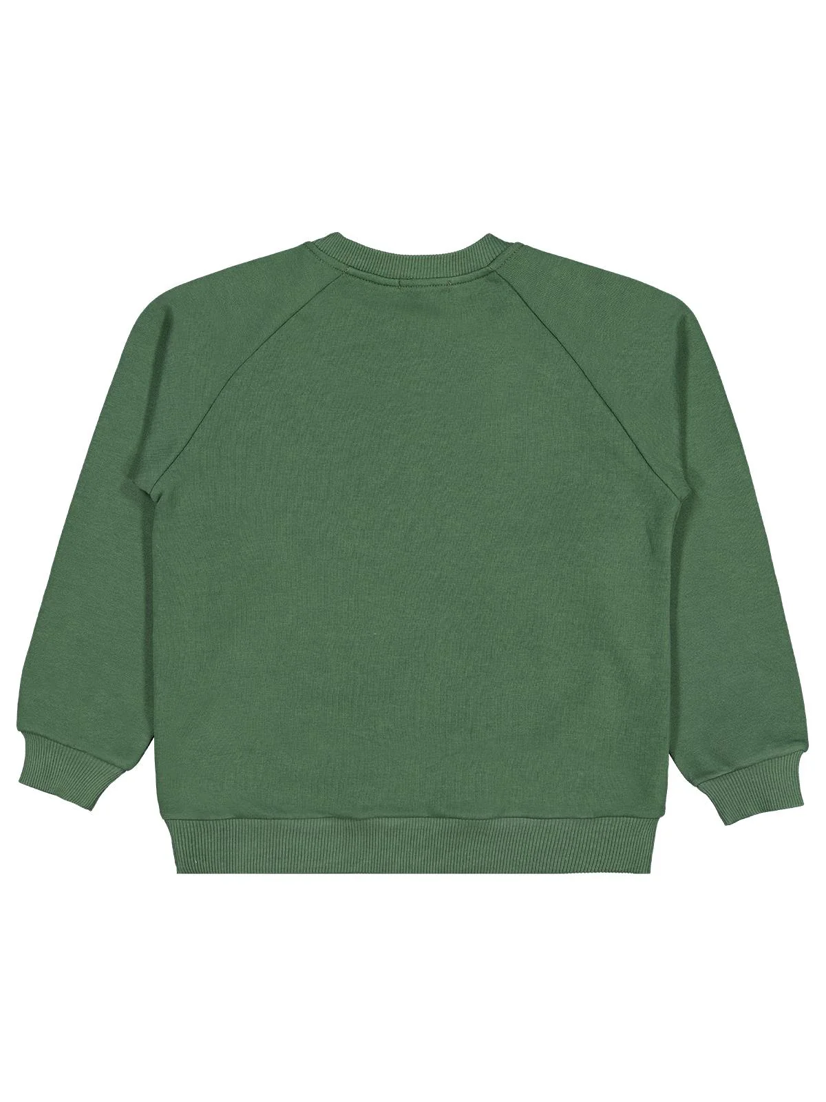 Civil Boys Again Baskılı 6-9 Yaş Sweatshirt - Yeşil - Image 2