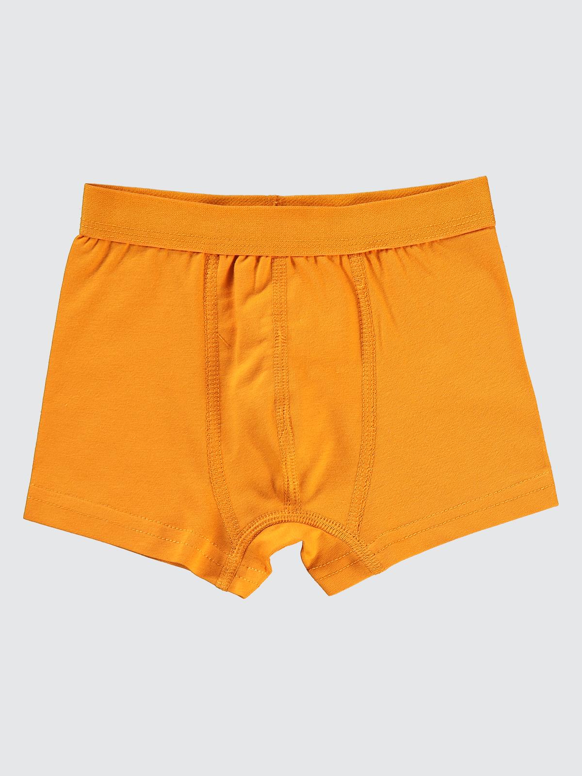 Civil Boys Erkek Çocuk Boxer 2-10 Yaş - Turuncu - Image 12