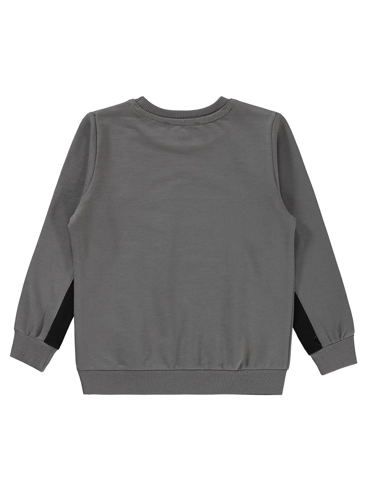 Civil Boys Dinozor Baskılı 2-5 Yaş Sweatshirt - Gri - Image 6