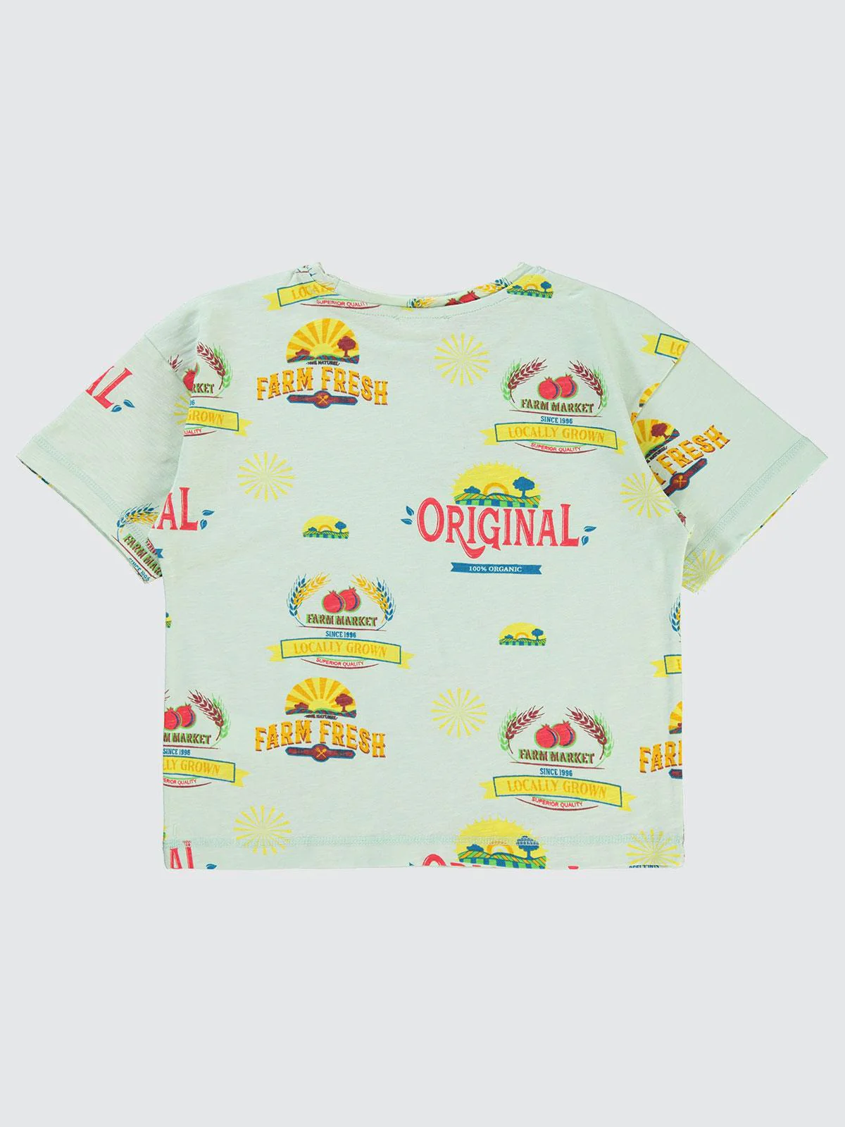 Civil Boys Farm Empirme Oversize 10-13 Yaş Tişört - Yeşil - Image 6
