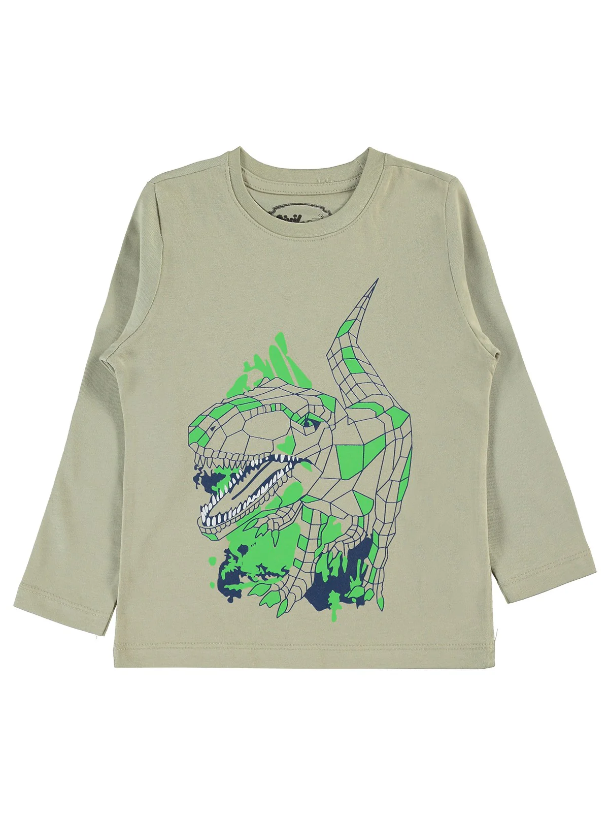 Civil Boys Geometrik Dino Baskılı 2-5 Yaş Sweatshirt - Yeşil