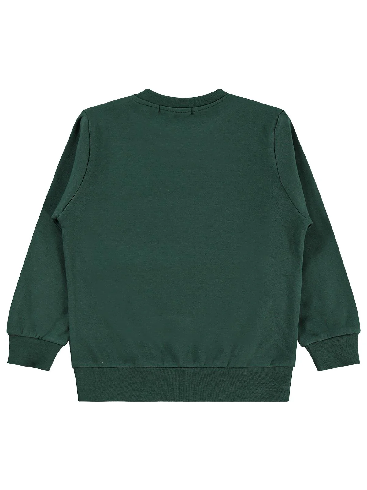 Civil Boys Kaykay Köpek Baskılı 2-5 Yaş Sweatshirt  - Yeşil - Image 2