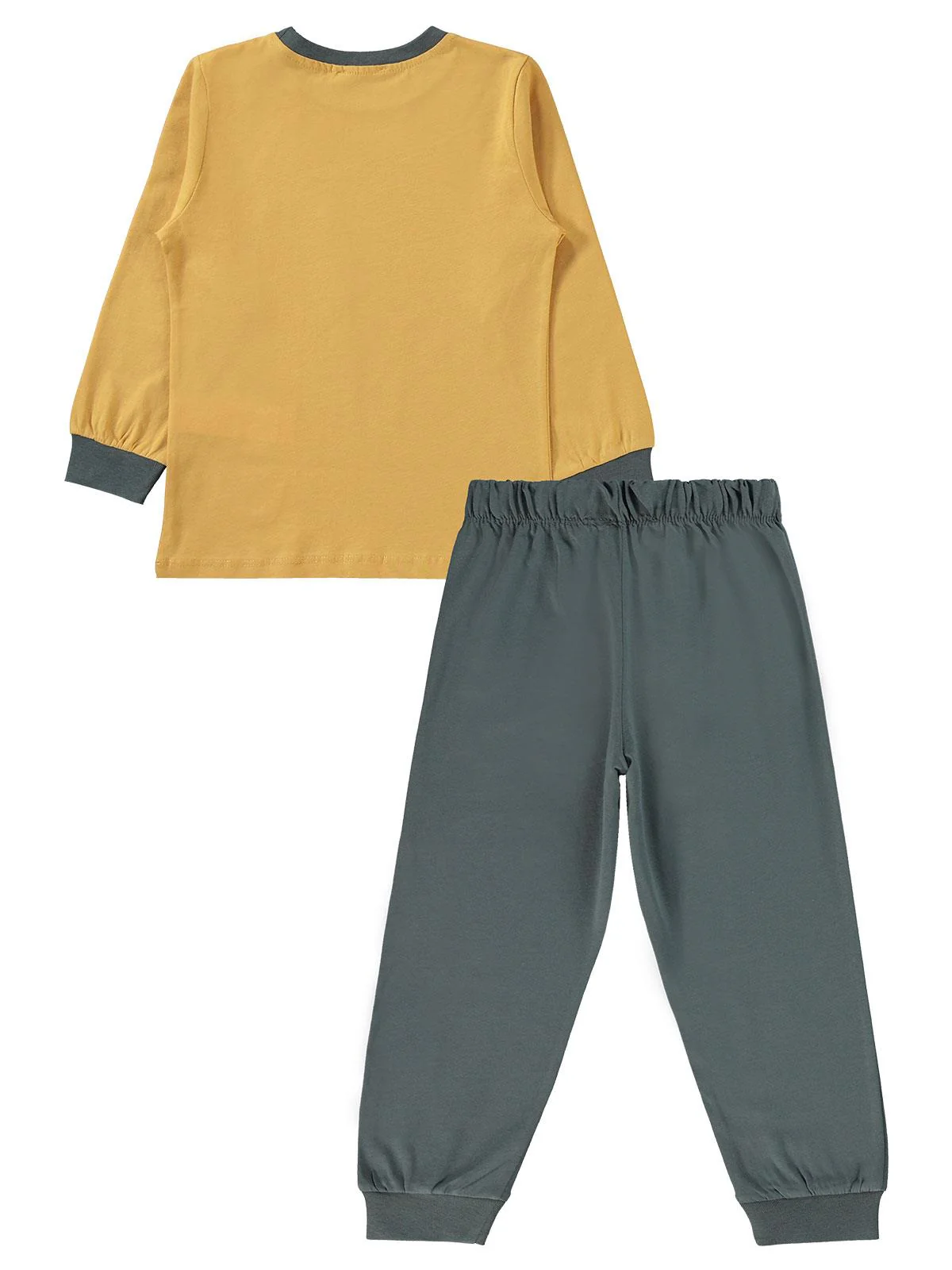 Civil Boys Köpek Baskılı 2-5 Yaş Pijama Takımı - Mavi - Image 6