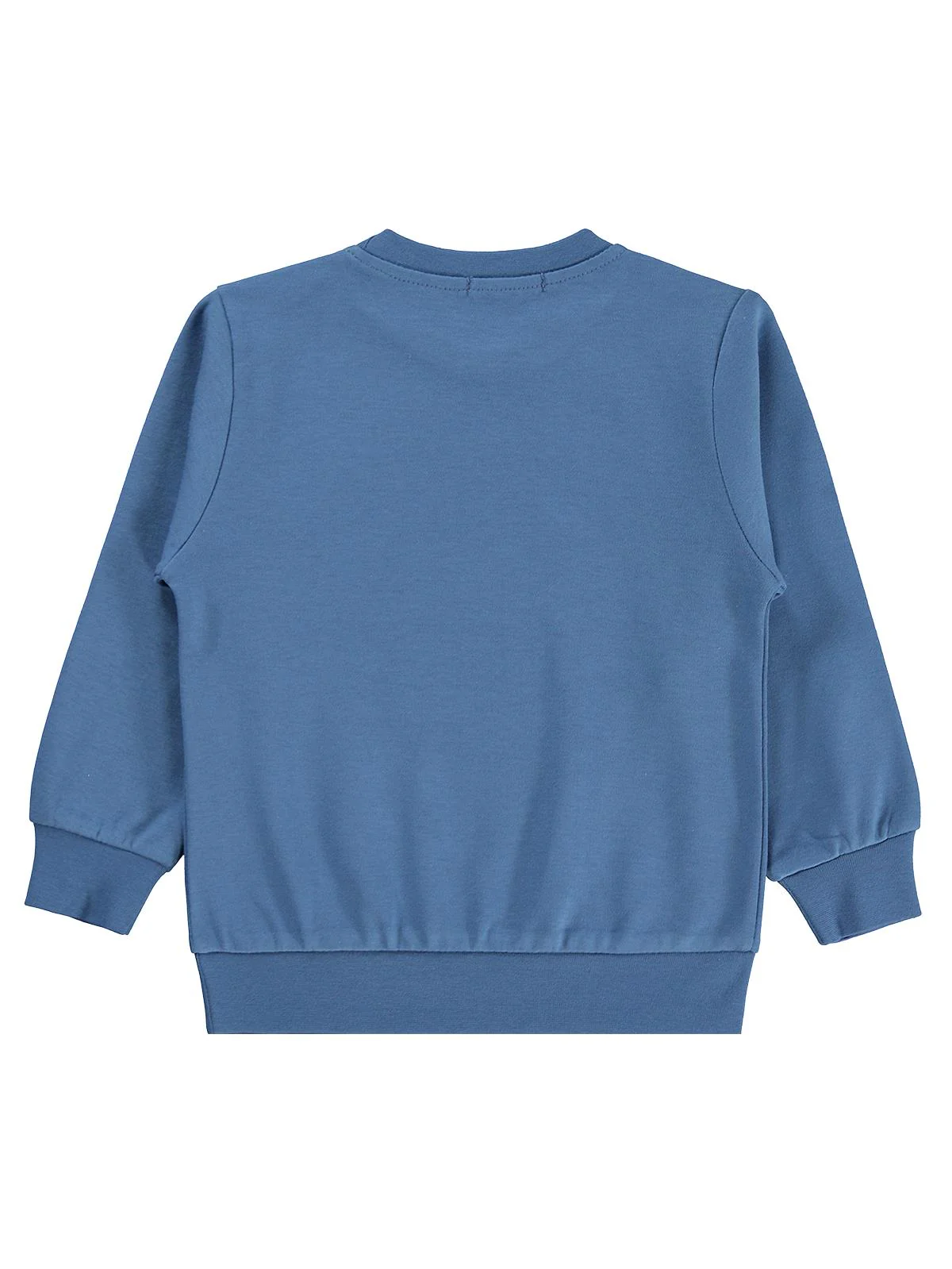 Civil Boys Kovboy Kaktüs Baskılı 2-5 Yaş Sweatshirt - Mavi - Image 2
