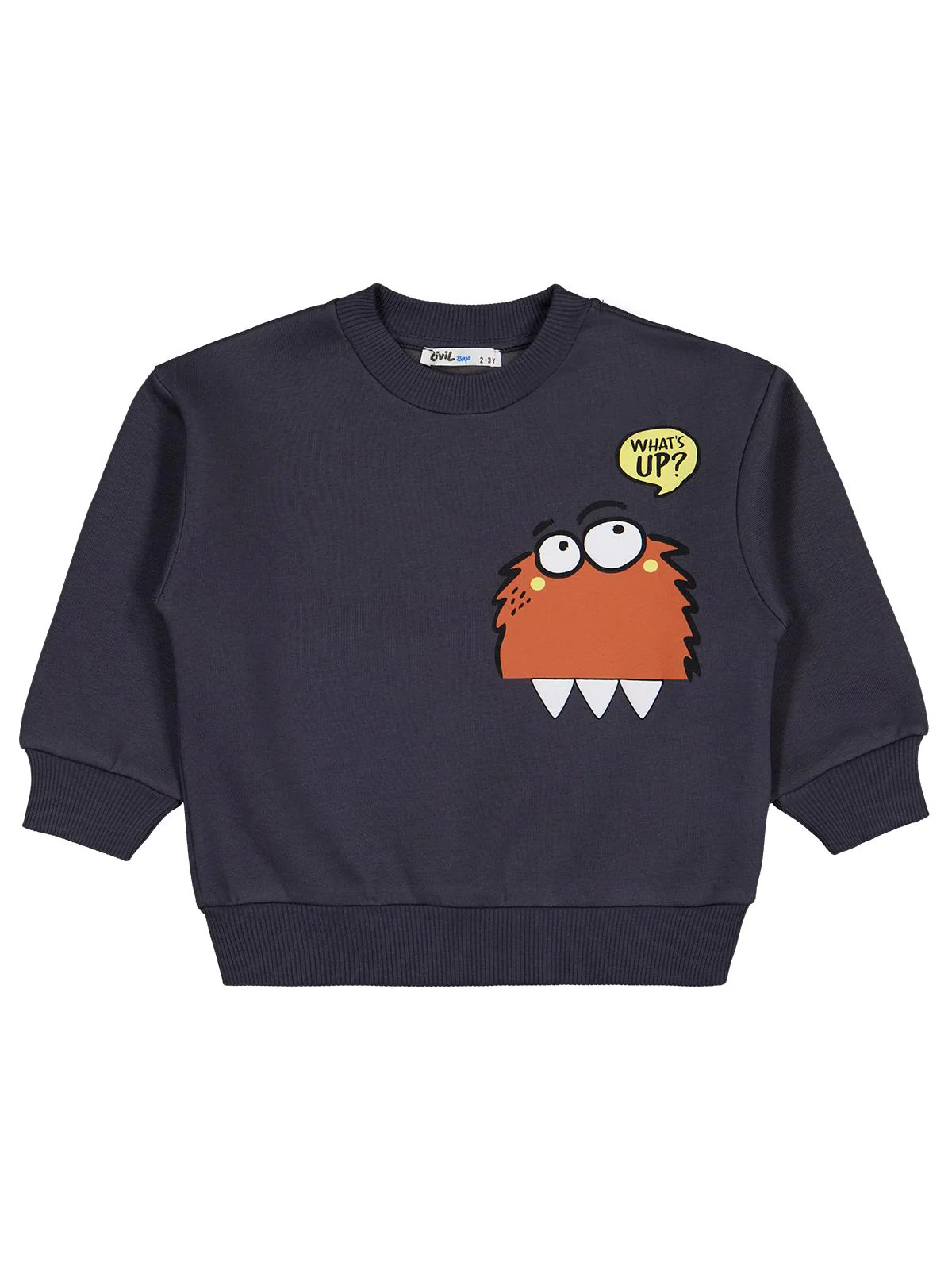 Civil Boys Monster Basklı 2-5 Yaş Sweatshirt - Gri - Image 5