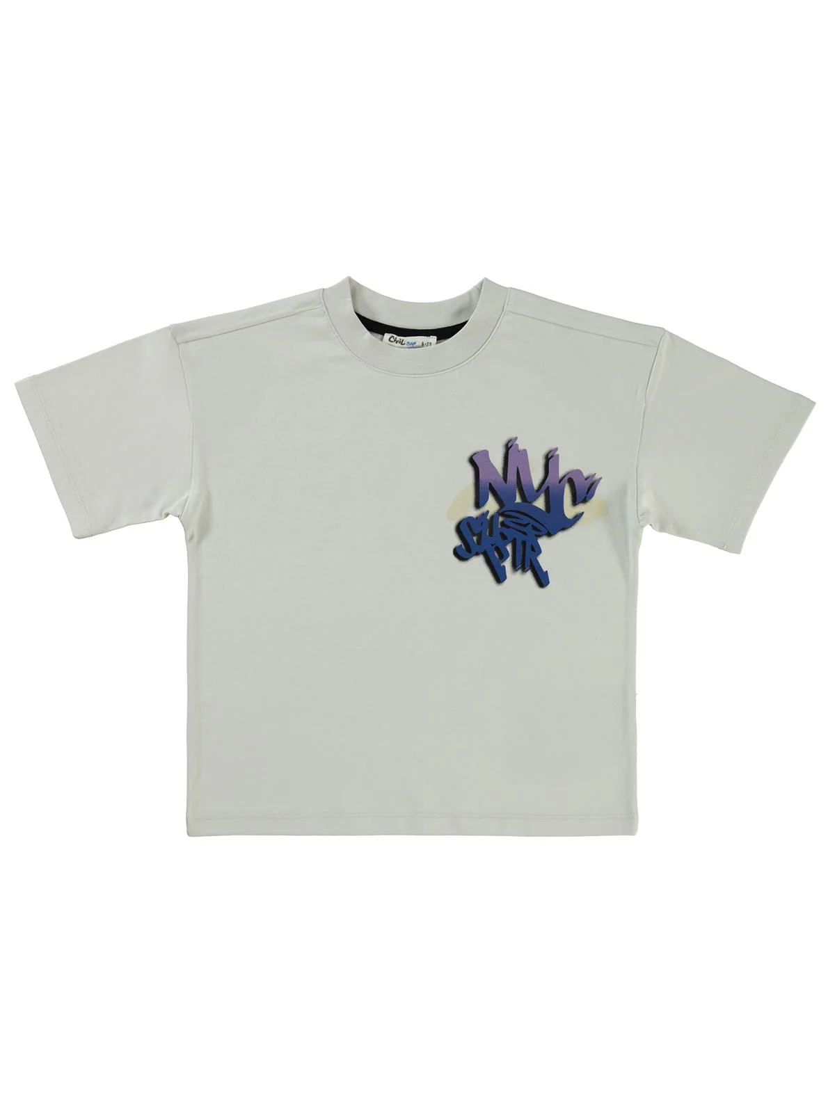 Civil Boys NYC Baskılı 10-13 Yaş Tişört - Gri - Image 3