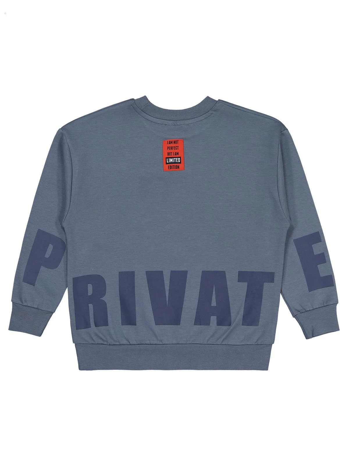 Civil Boys Prıvate Baskılı 10-13 Yaş Sweatshirt - Gri - Image 3