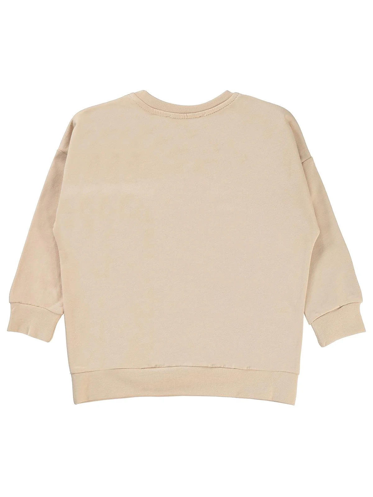 Civil Boys Specıal Mıssıon Fun Baskılı 2-5 Yaş Sweatshirt - Bej - Image 2