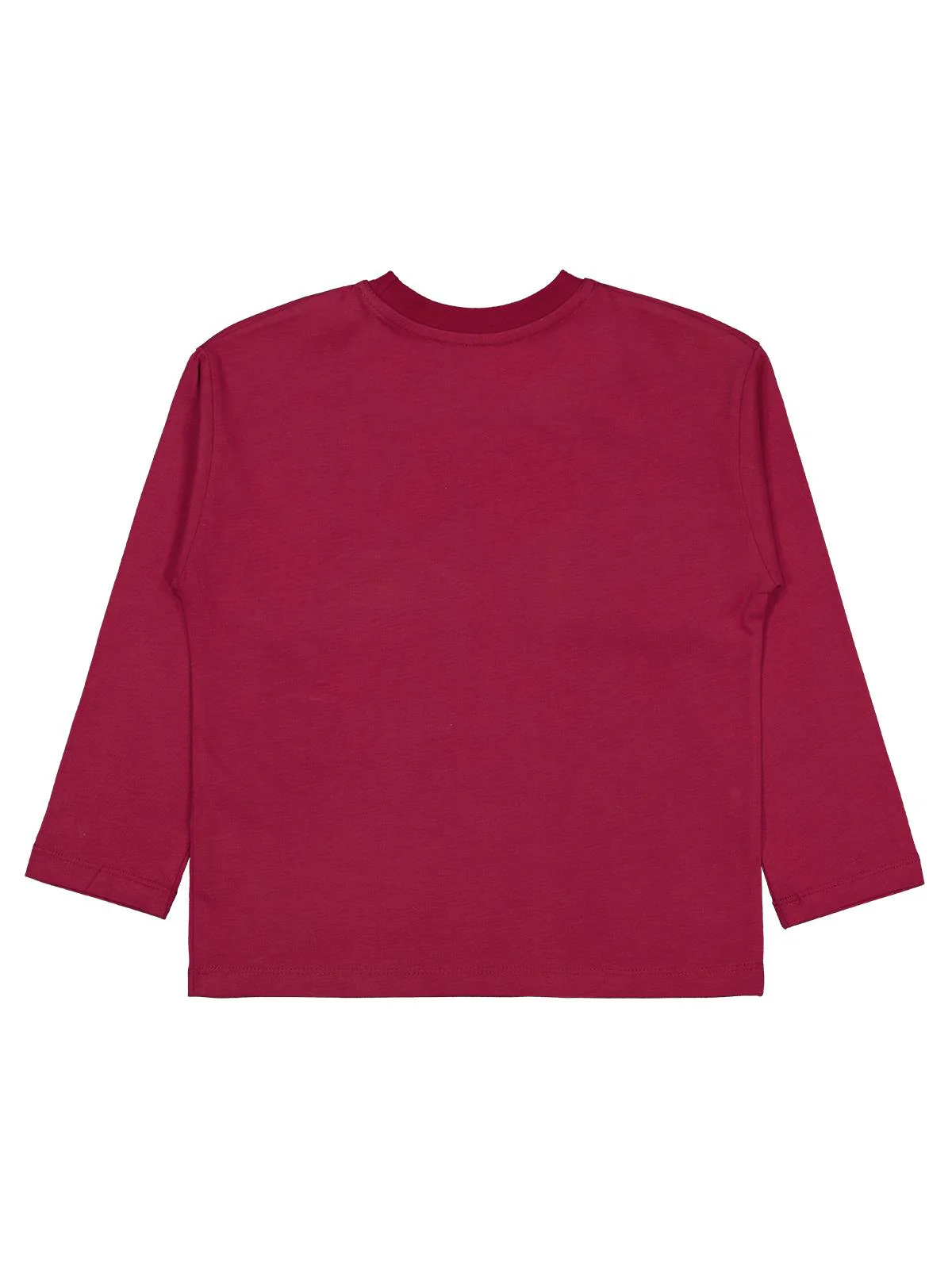 Civil Boys Tiger Baskılı - Etiketli 6-9 Yaş Sweatshirt - Bordo - Image 2