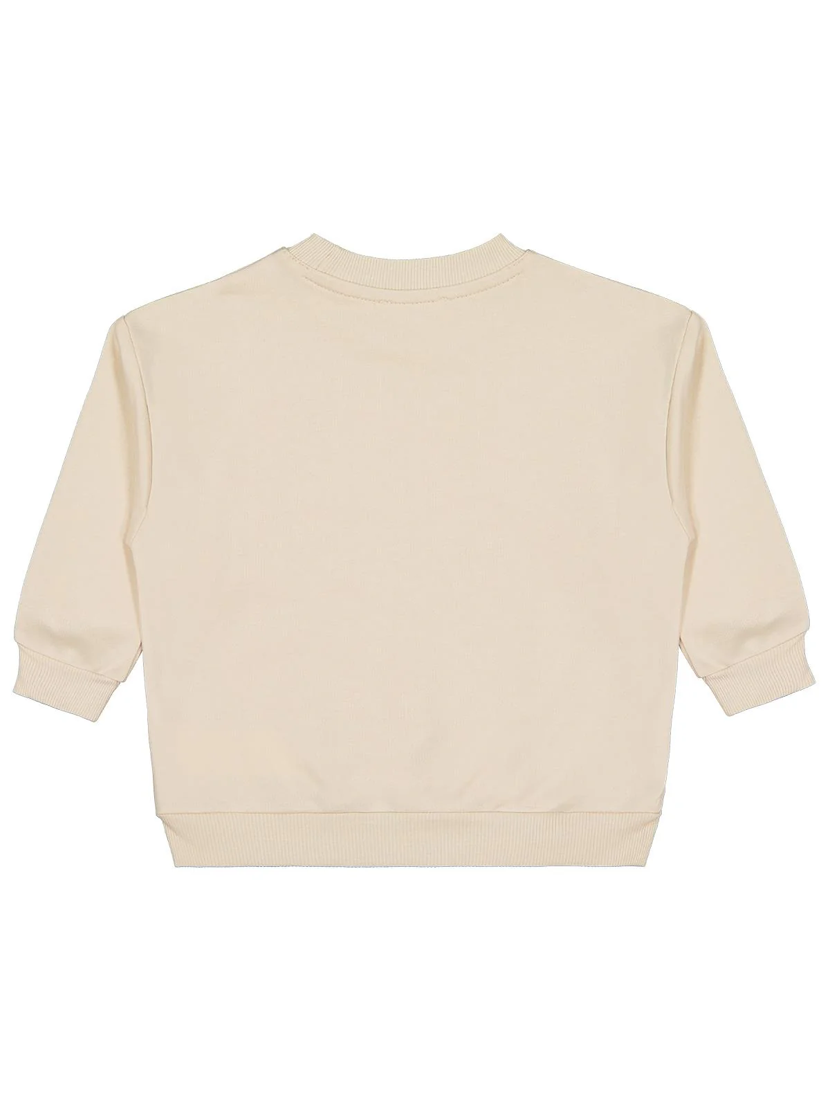 Civil Boys Trex Baskılı 2-5 Yaş Sweatshirt - Bej - Image 4